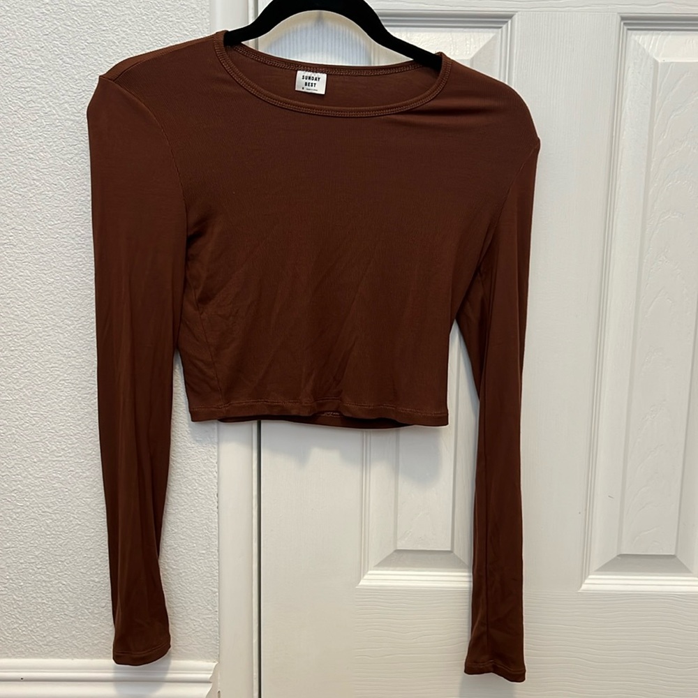 Aritzia Small Brown Cropped Long Sleeve
